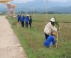 Thanh niên xã Duy Hòa ra quân trồng cây xanh